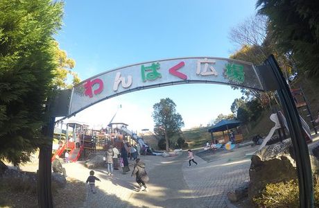 Oishi Highland