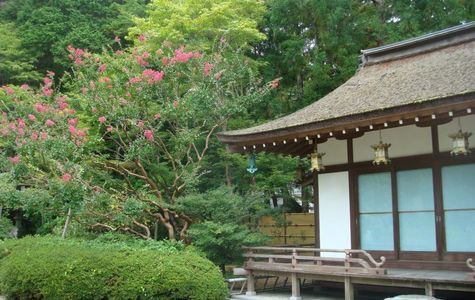 Koyasan Station 1