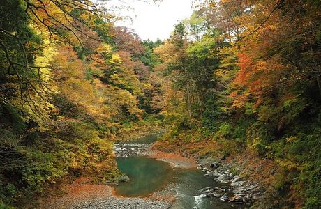 Toke Bridge