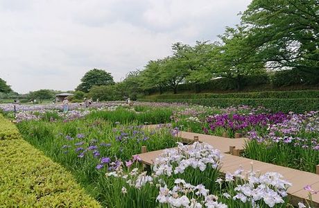 Tatebayashi Hanashobuen