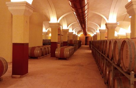 Il Pollenza