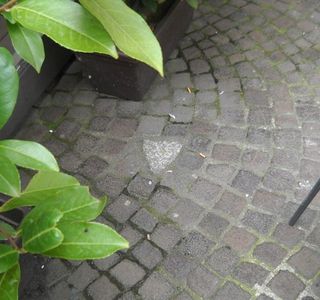 Pietra Che Porta Fortuna