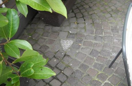 Pietra Che Porta Fortuna