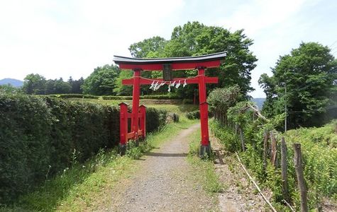 Hachigata Castle Park 1