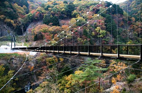 Kinu Tateiwa Otsuribashi (Suspension bridge)