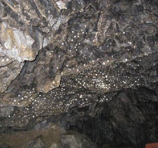 Nippara Limestone Caves