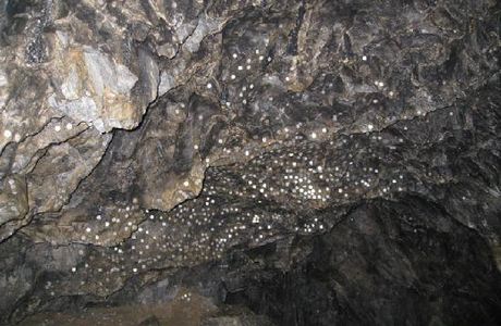 Nippara Limestone Caves