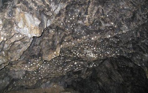 Nippara Limestone Caves 1