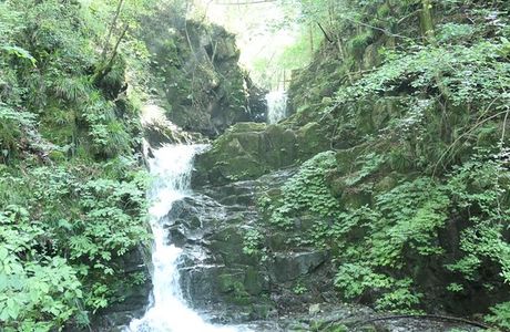 Kuzuryu Waterfall