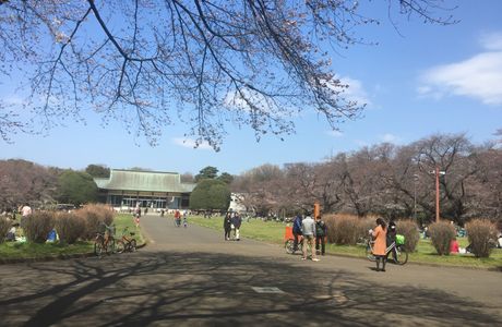 Koganei Park Sports Center