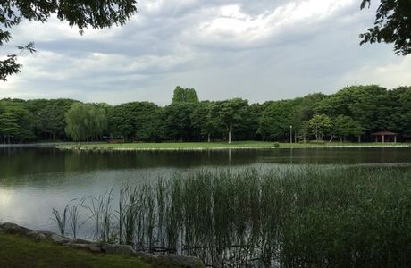 Doho Park