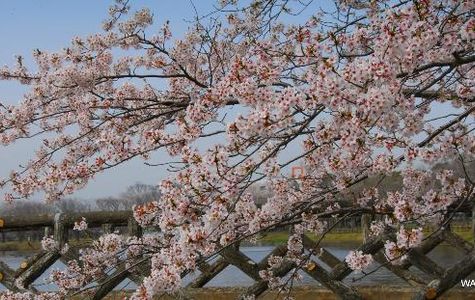 Ottonuma Park 1