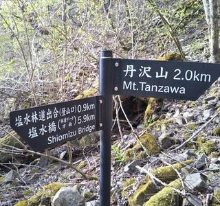 Mt. Tanzawa