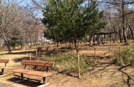 Doto Shinrin Park