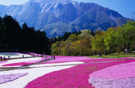 Hitsujiyama Park