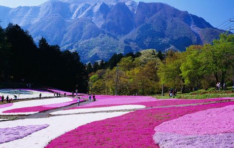 Hitsujiyama Park 1