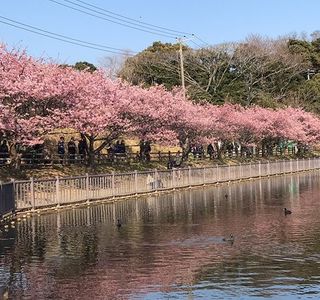 Komatsugaike Park
