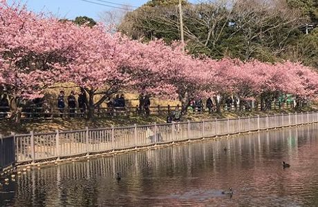 Komatsugaike Park