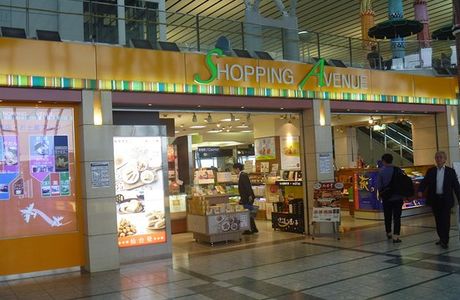 General Store Hagi