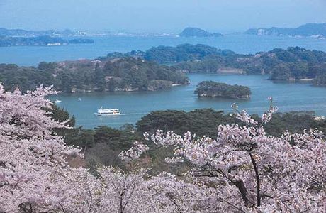 Saigyo Modoshi no Matsu Park