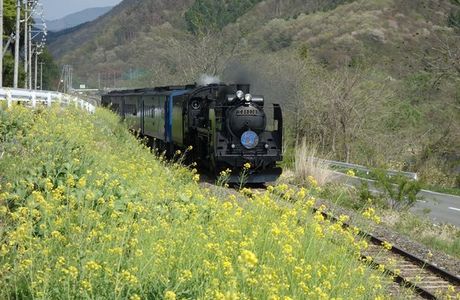 Kamaishi Railway Line