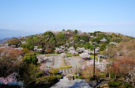 Bizan Park