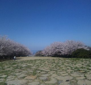 Aonoyama