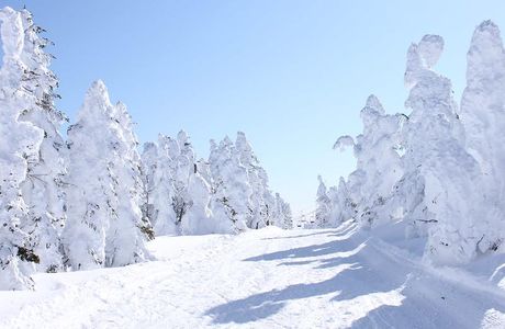 Tendo Kogen Ski Resort