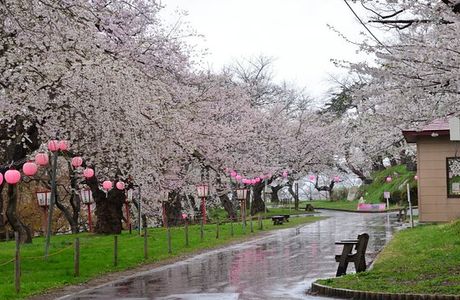 Eboshiyama Park