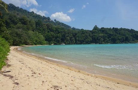 Monkey Bay