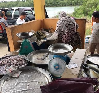 Pasar Nelayan Pulau Gajah