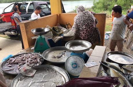 Pasar Nelayan Pulau Gajah