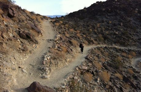 Bump and Grind Trail
