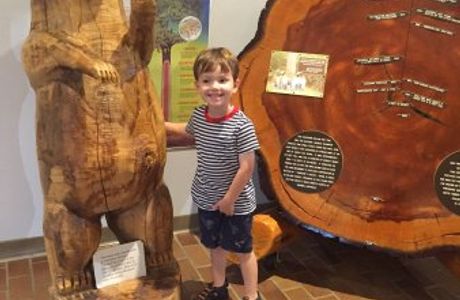 Arkansas Museum of Natural Resources