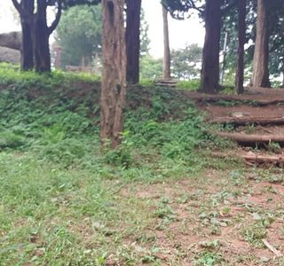 Hwalseong Sanseong Sanlim Yokjang