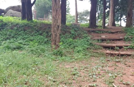 Hwalseong Sanseong Sanlim Yokjang