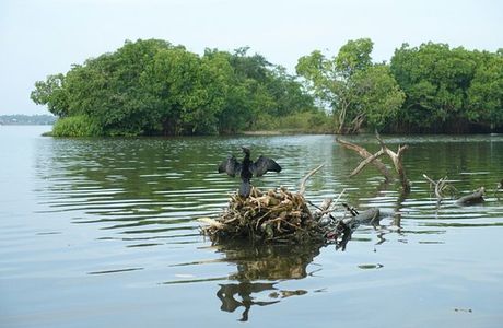 Pottuvil Lagoon