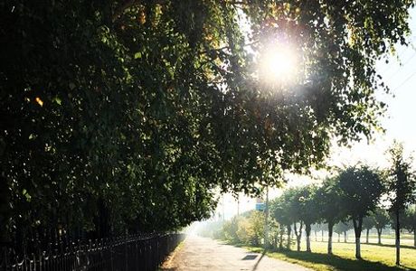 Yelnikovskaya Grove Park of Culture and Leisure
