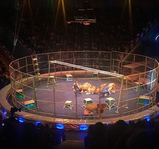 Nizhniy Novgorod Circus