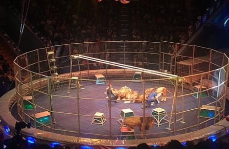 Nizhniy Novgorod Circus