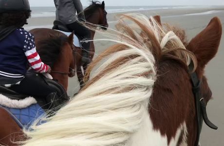 rijstal Le Cheval