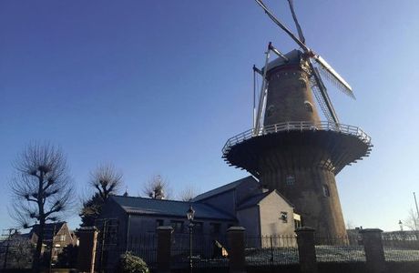 Wilskracht Stadsbrouwerij Ravenstein