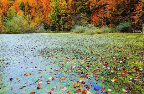 Yedigoller National Park