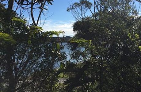 Snowy River Estuary Walk