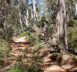 Abercrombie River National Park