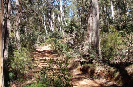 Abercrombie River National Park