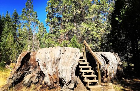 Big Stump Basin