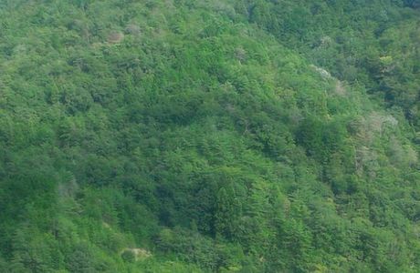 Minokamo Health Forest Park