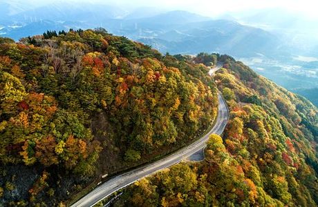 Ibukiyama Driveway