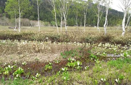 Oze Plant Research Specimen Garden